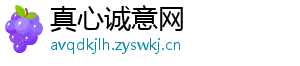 真心诚意网